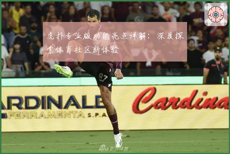 虎扑专业版功能亮点详解：深度探索体育社区新体验