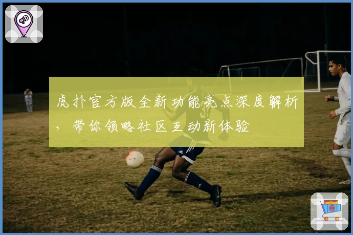 虎扑官方版全新功能亮点深度解析，带你领略社区互动新体验