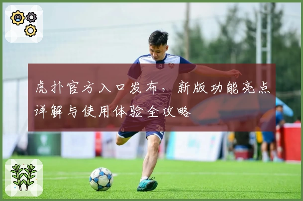 虎扑官方入口发布，新版功能亮点详解与使用体验全攻略